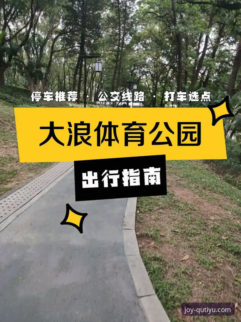 趣体育用户评价完整指南：从下载体验到赛事直播的深度解析
