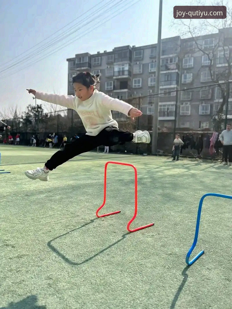 趣体育手机版功能评测与使用指南